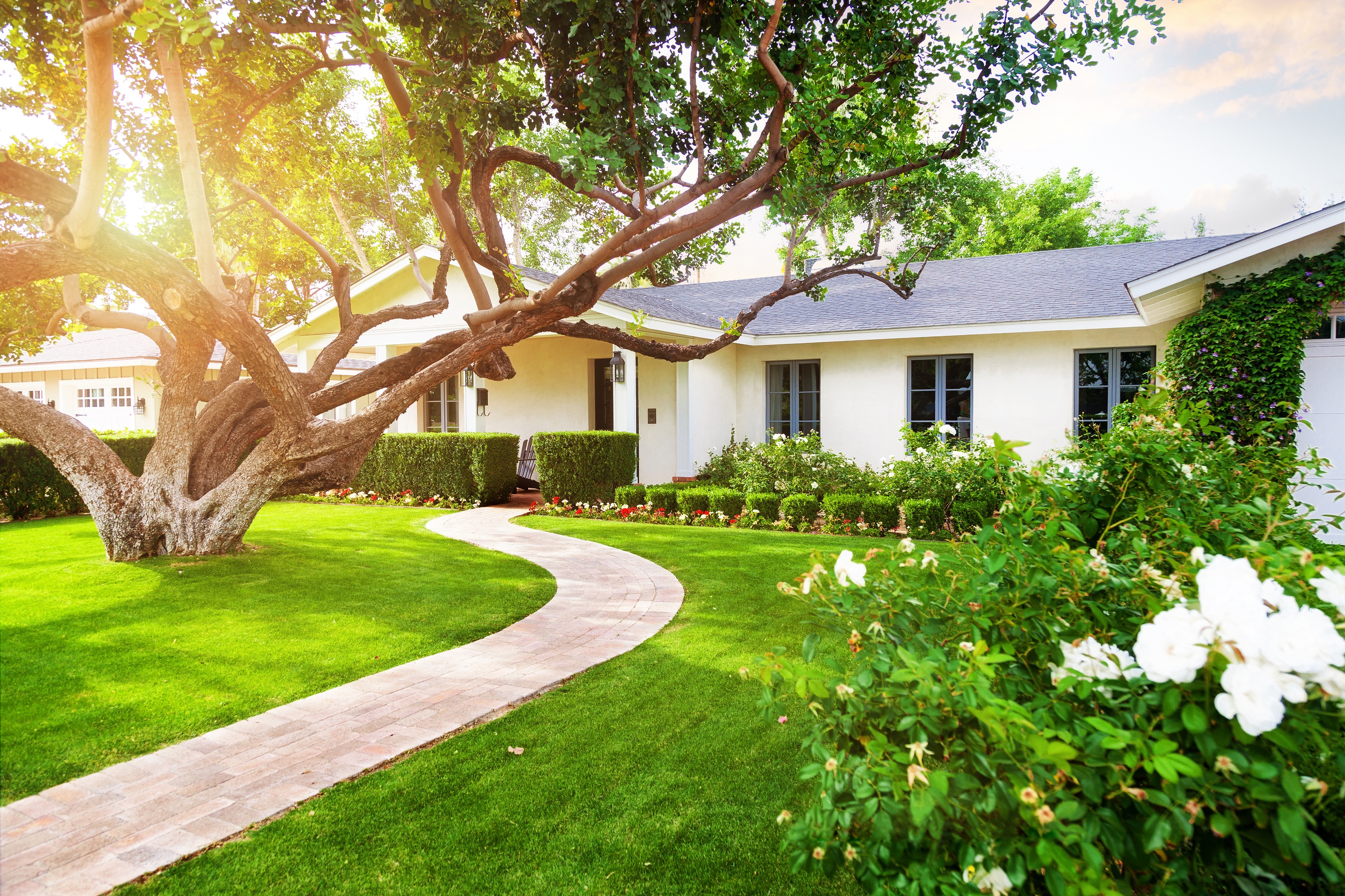 It's Storm Season: Time to Trim Trees & Save Your Home from Damage